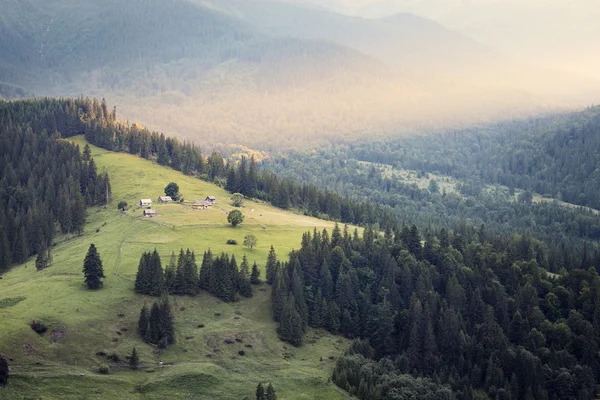 Montagnes des Carpates paysage rural — Photo