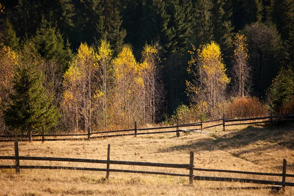 Autumn mountain hills — Stock Photo, Image