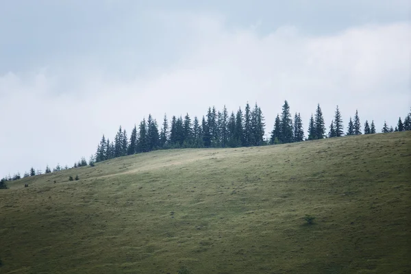 Montagne paesaggio rurale sotto la pioggia — Foto Stock