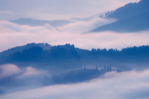 Горные холмы в туманное утро — стоковое фото