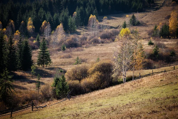 Осінній гірських пагорбах — стокове фото