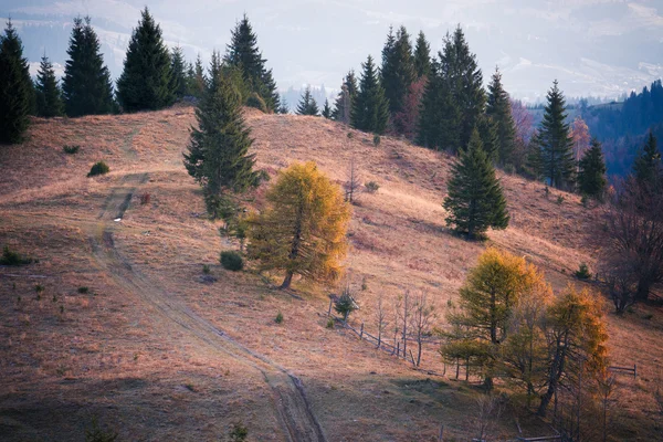 Herfst heuvels van de berg — Stockfoto