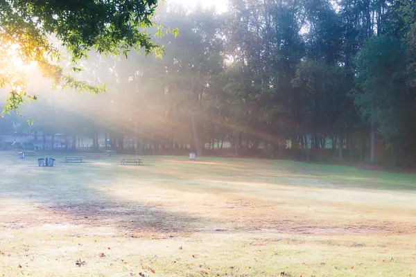 Beautiful park morning view — Stock Photo, Image