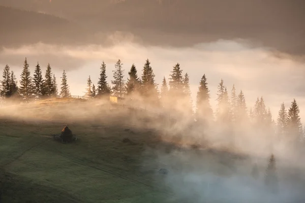 Bergen rurale landschap bij mistige zonsopgang — Stockfoto