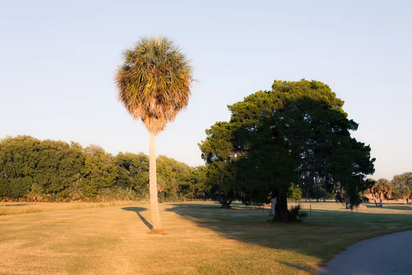 Krásný výhled na park — Stock fotografie