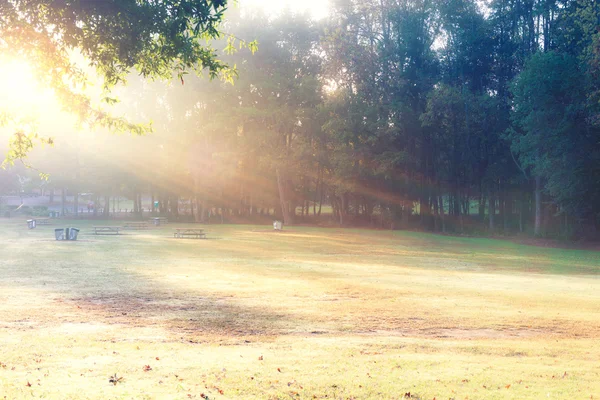 Belle vue du matin du parc — Photo