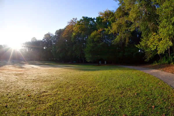 Vista al hermoso parque mañana — Zdjęcie stockowe