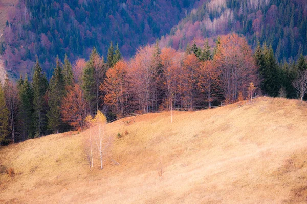 Autumn mountain hills — Stock Photo, Image