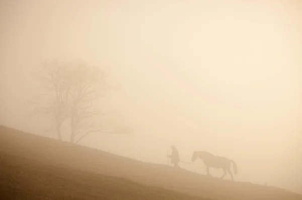 Mann und Pferd Silhouette auf dem Hügel — Stockfoto