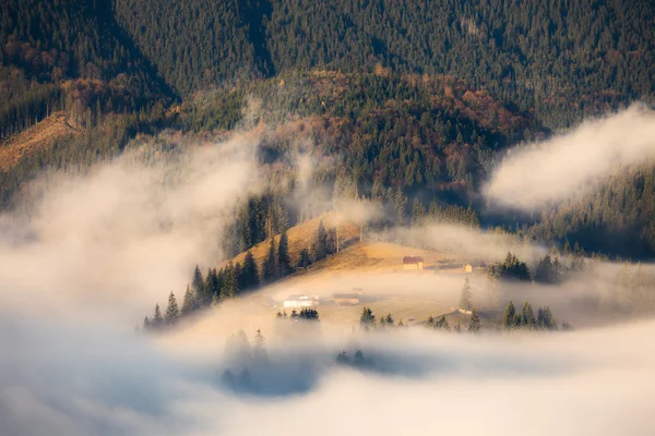 Foggy colline di montagna del mattino — Foto Stock