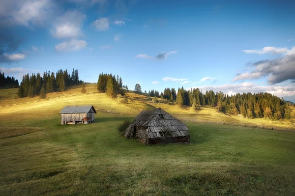 Colline soleggiate di montagna dei Carpazi — Zdjęcie stockowe