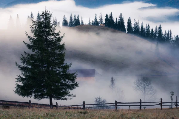 Montanhas paisagem rural ao nascer do sol nebuloso — Fotografia de Stock