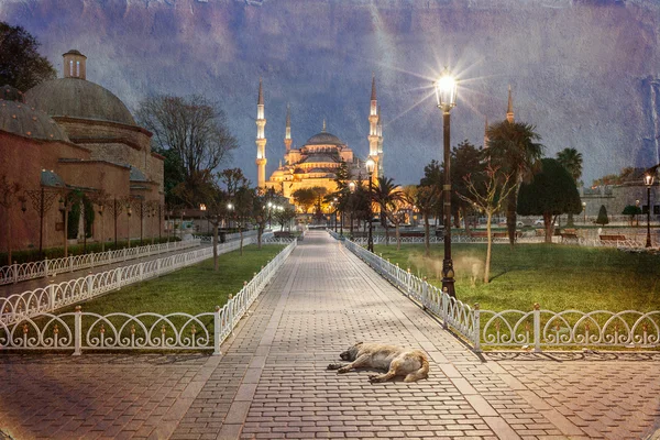 Fotografie vintage a Moscheii Albastre Sultanahmet — Fotografie, imagine de stoc