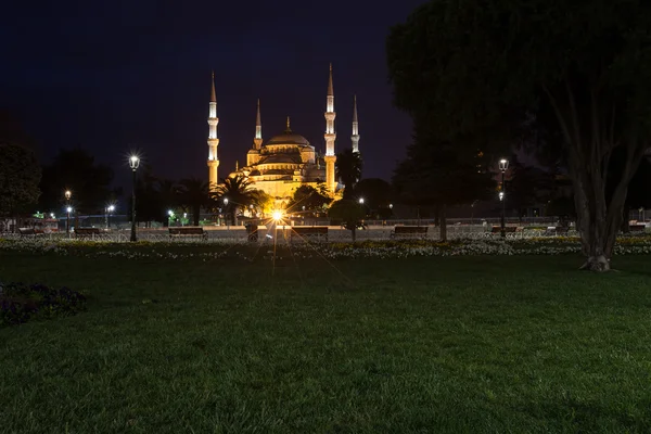 Sultanahmet blå moske om natten - Stock-foto