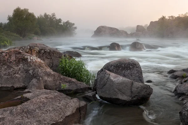 Foggy river morning — Stock Photo, Image