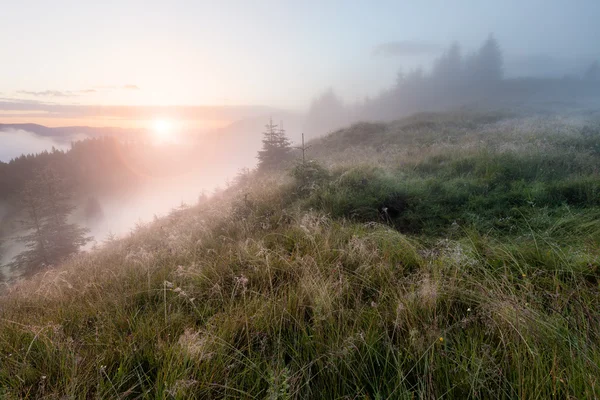 Туманних гірських вранці — стокове фото