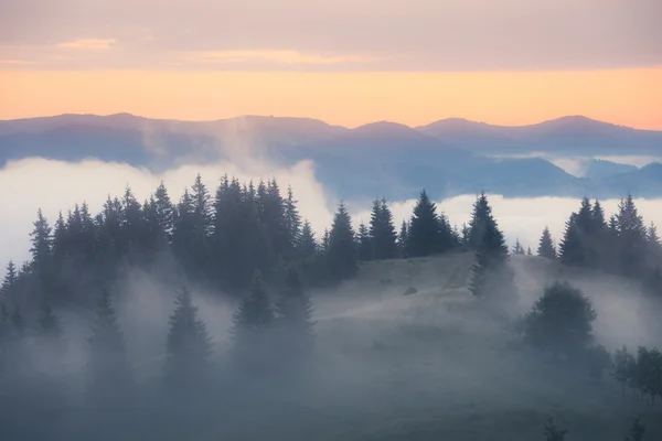 Niebla mañana de montaña — Foto de Stock