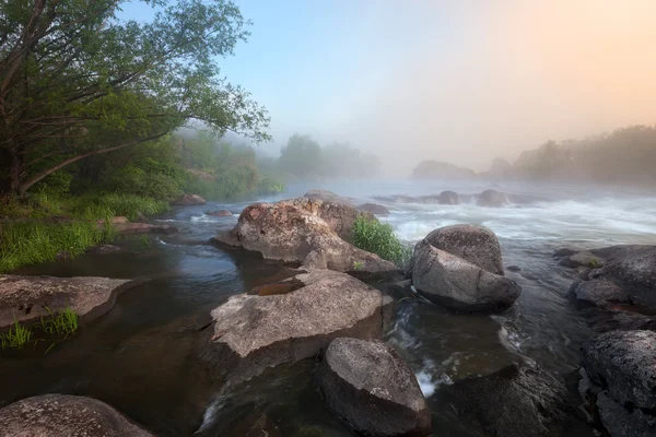 早上有雾河 — 图库照片