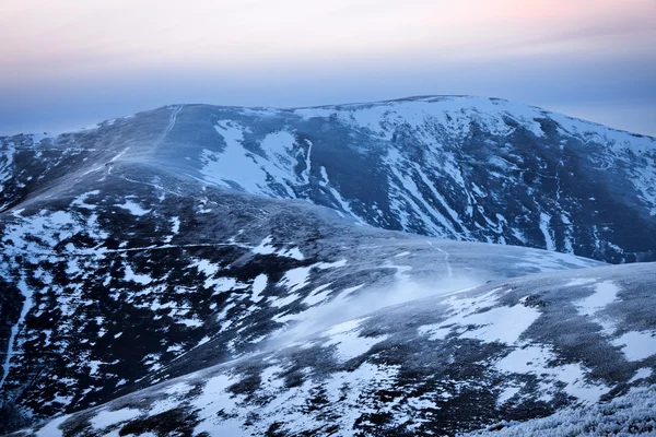 Carpathian mountains showy hills — Stock Photo, Image