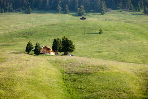 Groene landbouwgrond — Stockfoto