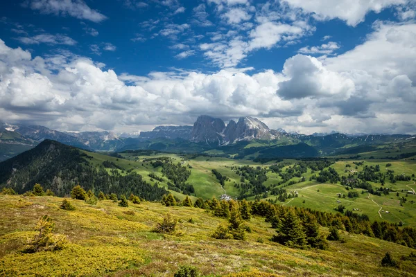 Panorama alpe di suisi w słoneczny dzień — Zdjęcie stockowe