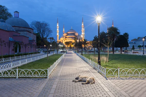 Mosquée bleue Sultanahmet — Photo