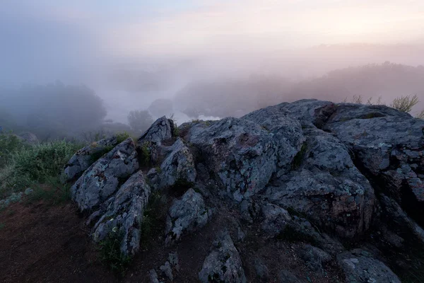 Nebliger Flussmorgen — Stockfoto