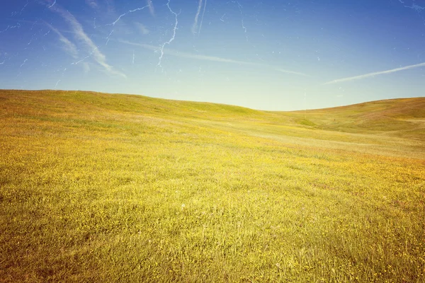 Retro style photo of summer meadow — Stock Photo, Image