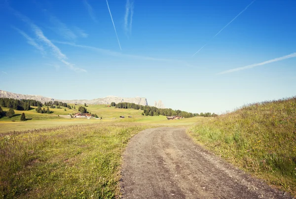 Vintage style image of green summer farmland — Stock Photo, Image