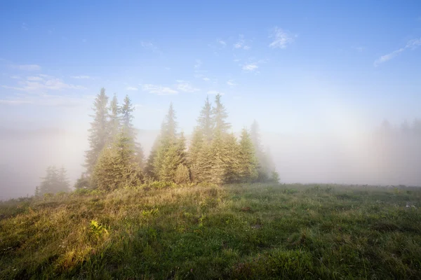 Foggy mountain morning — Stock Photo, Image