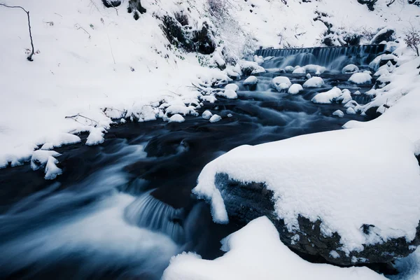 Winterwaldbach — Stockfoto