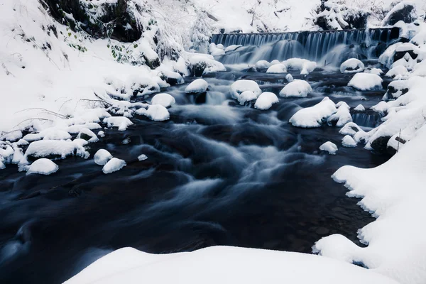 Ruisseau forestier d'hiver — Photo