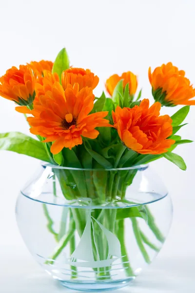 Marigold in round vase — Stock Photo, Image