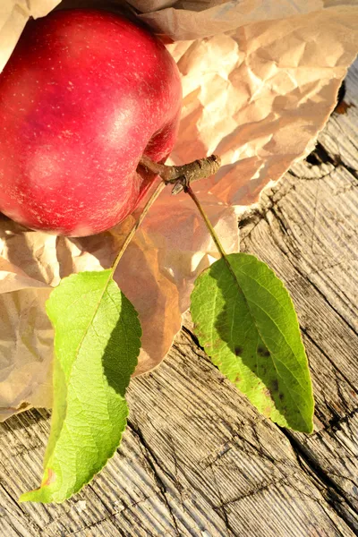 Apple oogsttijd — Stockfoto