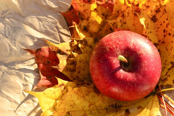 Apple and autumn leaves — Stock Photo, Image