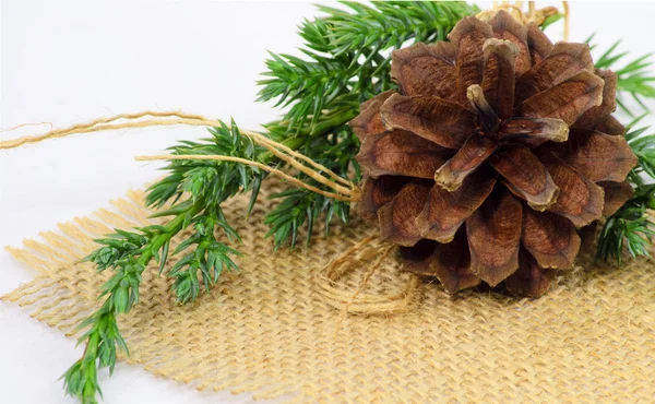 Pinecone ornament - Stock-foto