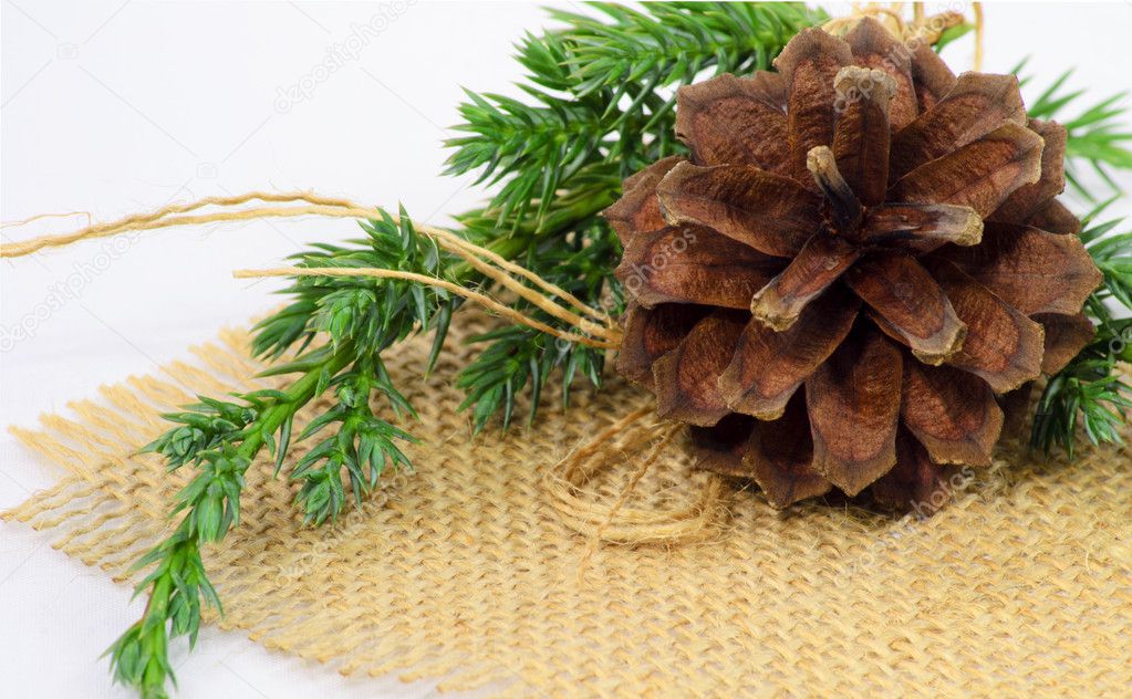 Pinecone ornament