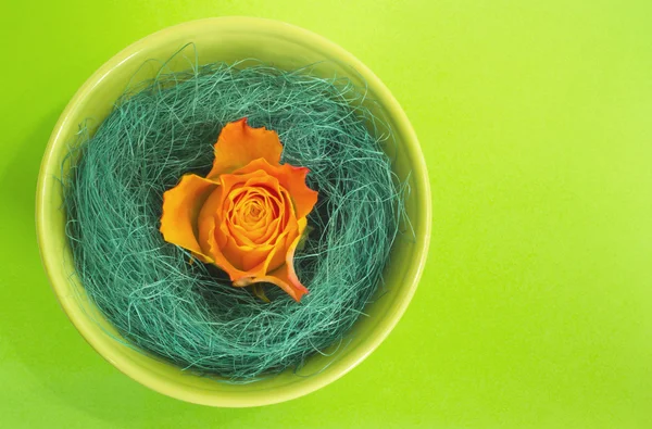 Orange Rose in einer grünen Schüssel — Stockfoto