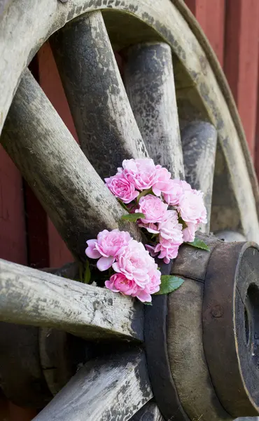 Roses and wagon wheel — Stock Photo, Image