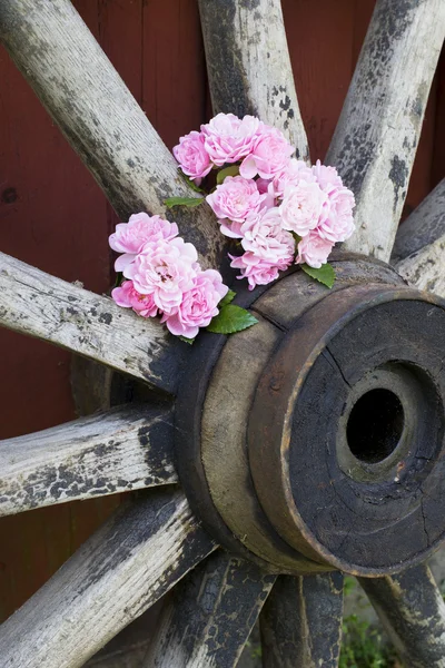 Roses and wagon wheel — Stock Photo, Image