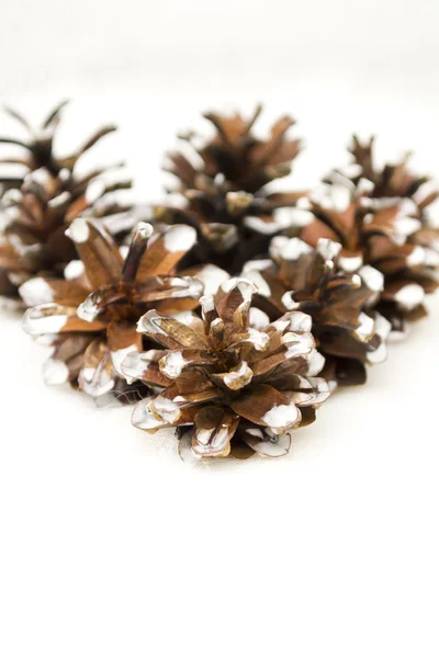 Pinecone Christmas decoration — Stock Photo, Image