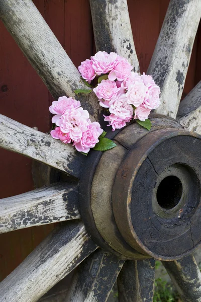 Roses and wagon wheel Royalty Free Stock Images