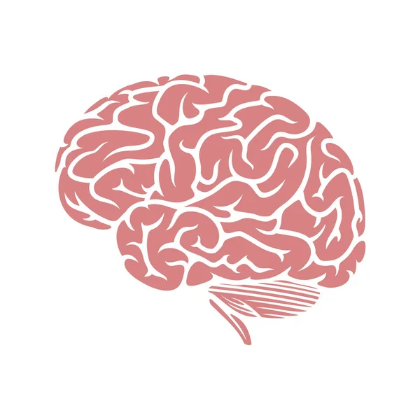 Ícone Cerebral Anatomia Humana Ilustração Vetorial —  Vetores de Stock