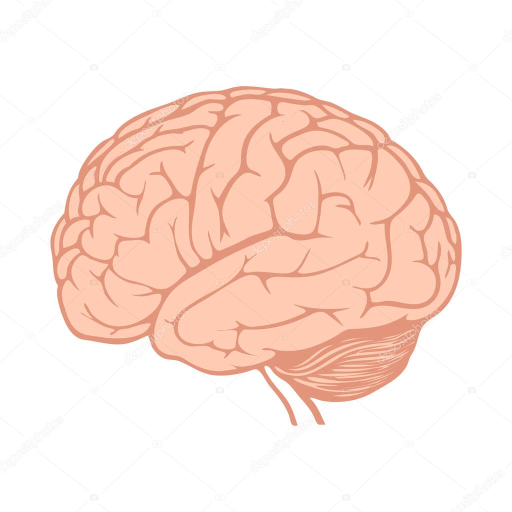 brain with a red background