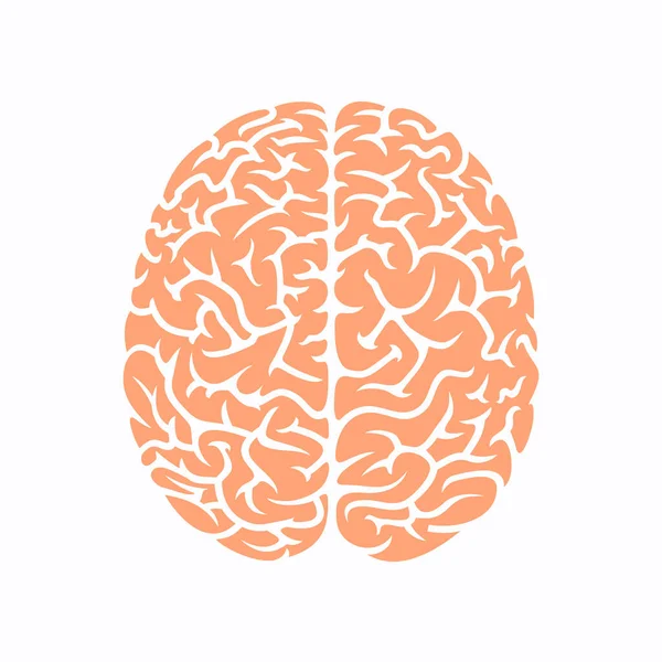 Hjärna Ikon Vektor Illustration — Stock vektor