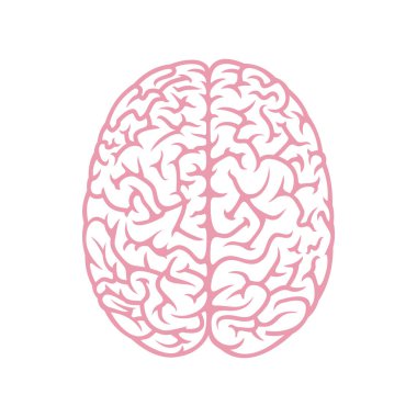 beyin ikonu vektör illüstrasyonu