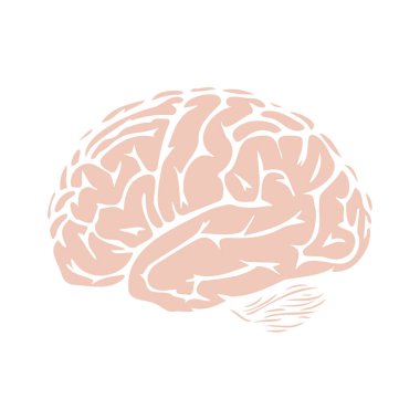 İnsan beyni ikonu. vektörün düz çizimi.