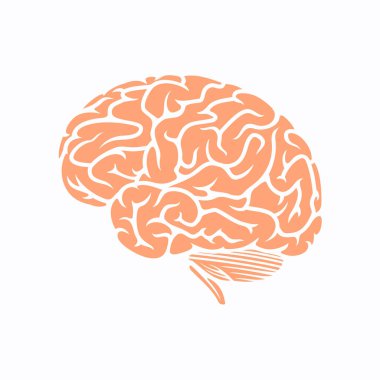 Beyin ikonu. İnsan anatomisi. vektör illüstrasyonu