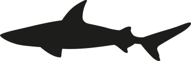 minimalist vektör illüstrasyonu, köpekbalığı simgesi