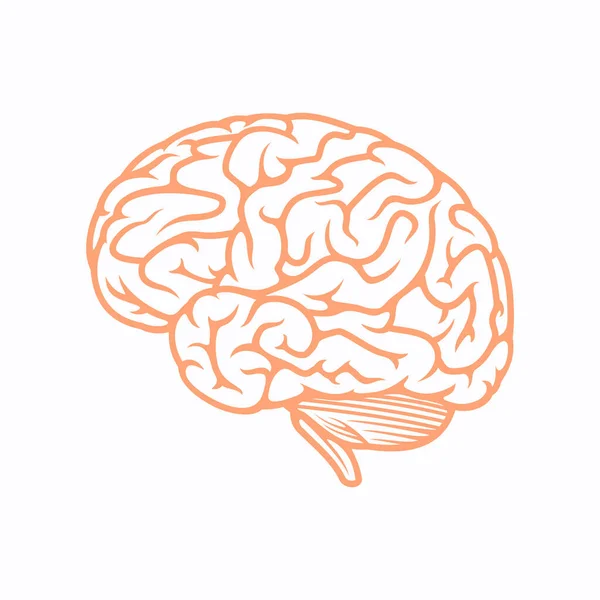 Ícone Cérebro Humano Ilustração Vetorial —  Vetores de Stock